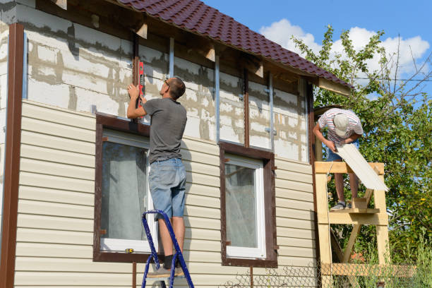 Best Custom Trim and Detailing for Siding  in St Francis, KS